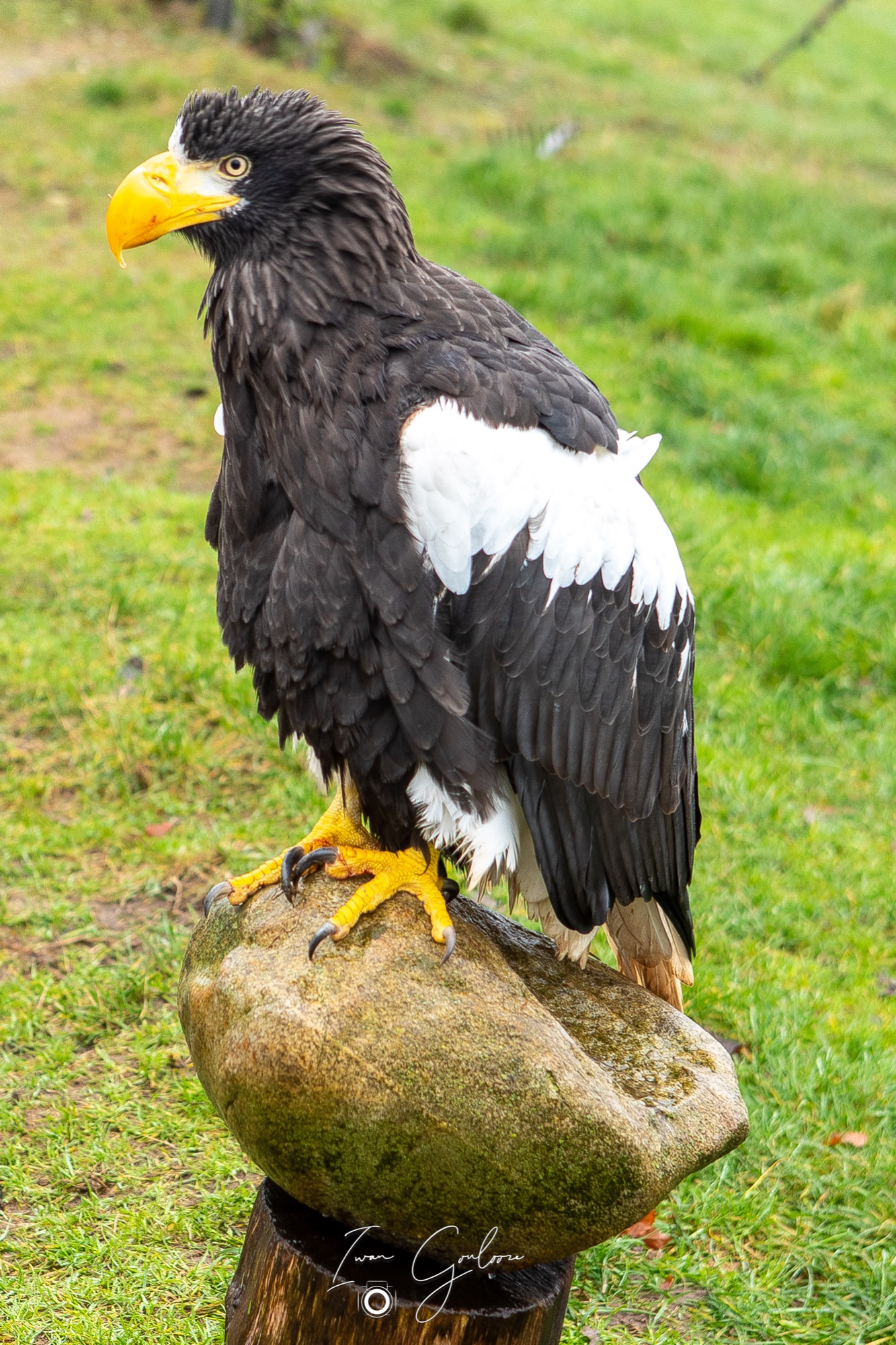  5D40689 12 december 2021 1347 56